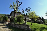 Monte Zucco (1232 m) da casa-Zogno (300 m) ad anello sui sent. CAI-505 e 505A il 16 maggio 2019 - FOTOGALLERY